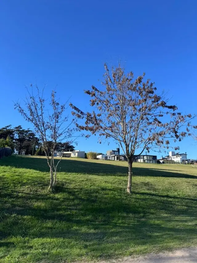 Terreno en venta en BOSQUE PERALTA RAMOS