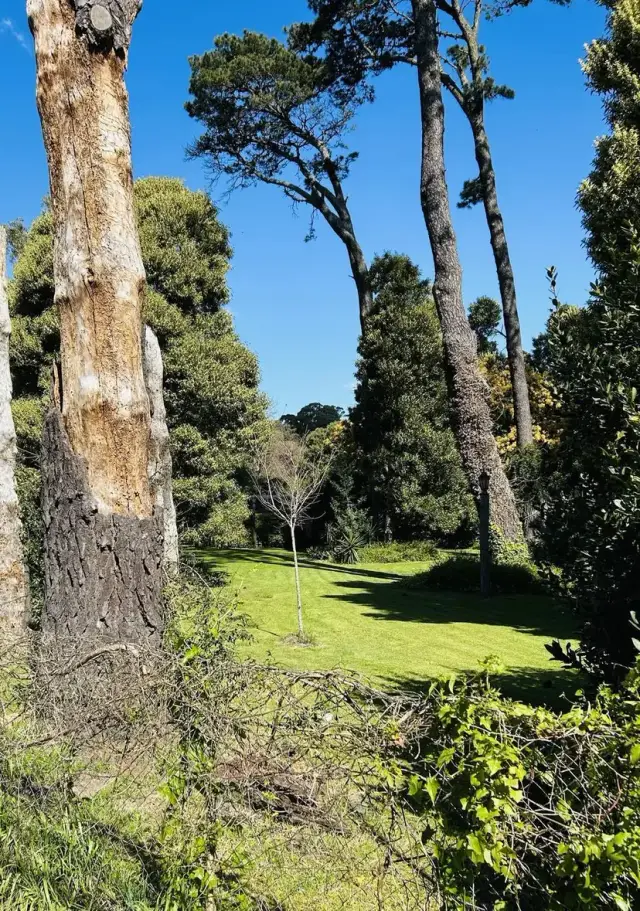 Terreno en venta en Bosque Peralta Ramos