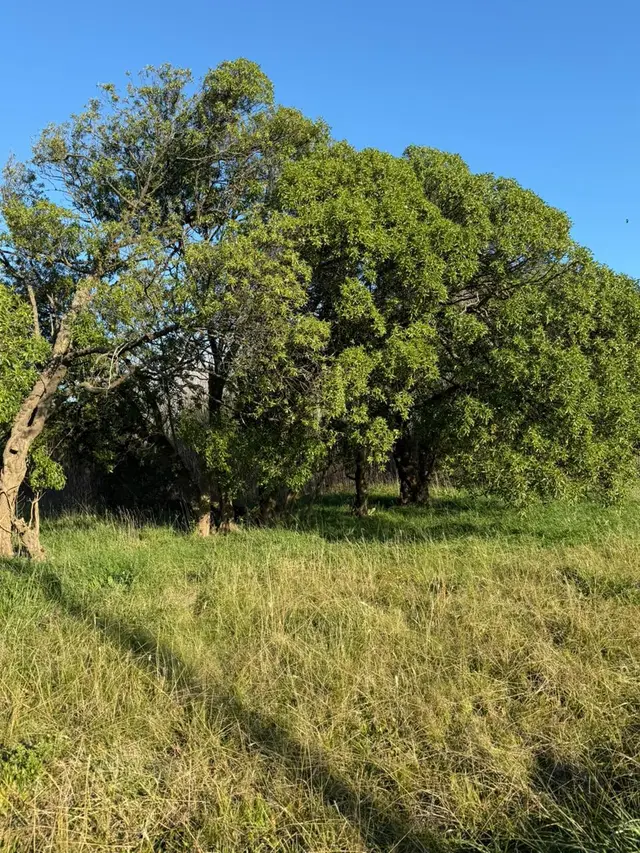 Terreno en venta en Playa Chapadmalal