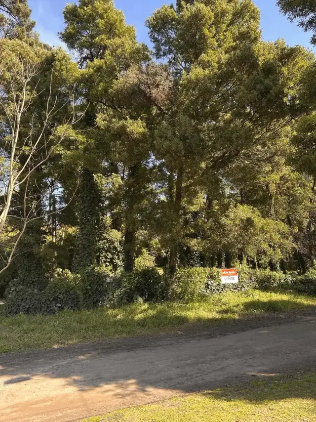 Terreno en venta en Bosque Peralta Ramos