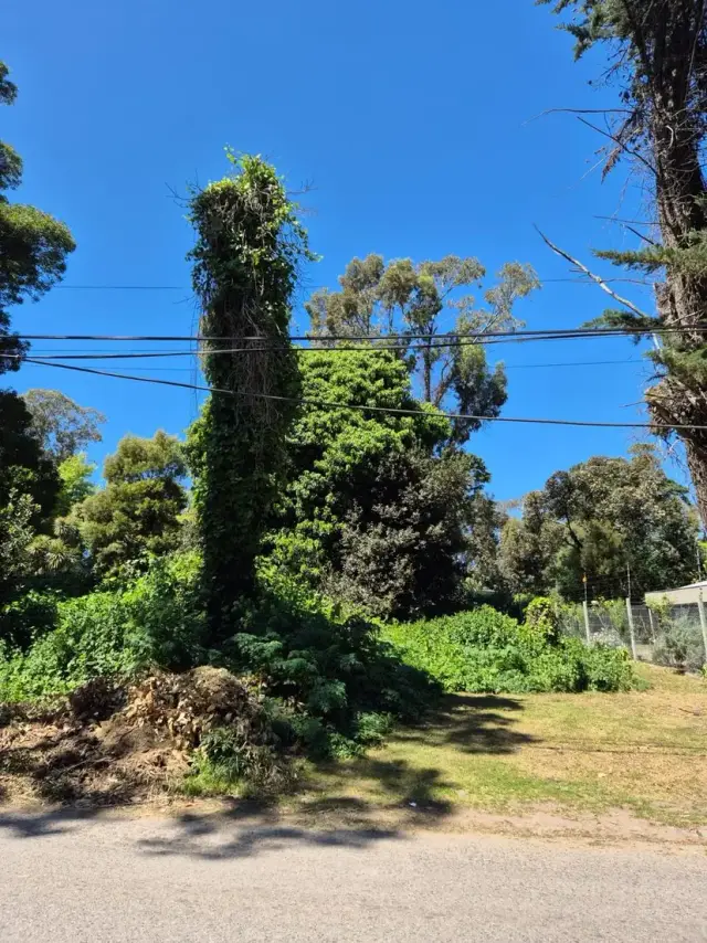 Terreno en venta en Bosque Peralta Ramos