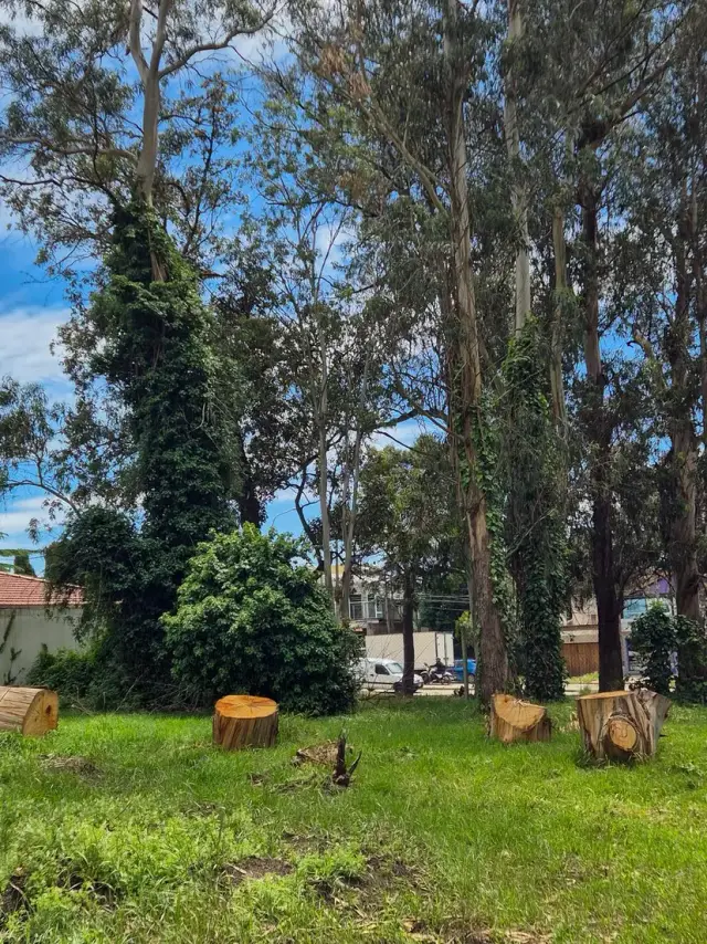 Terreno en venta en Bosque Peralta Ramos