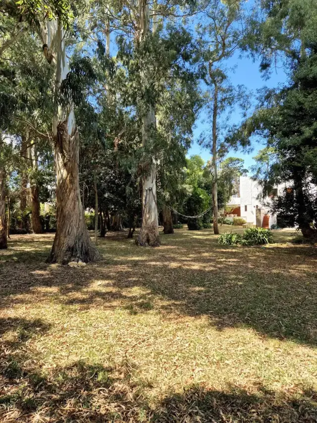 Terreno en venta en Bosque Peralta Ramos