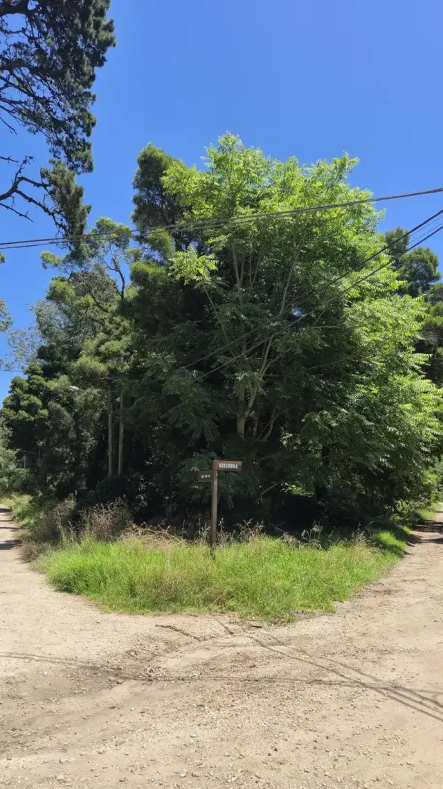 Terreno en venta en Bosque Peralta Ramos