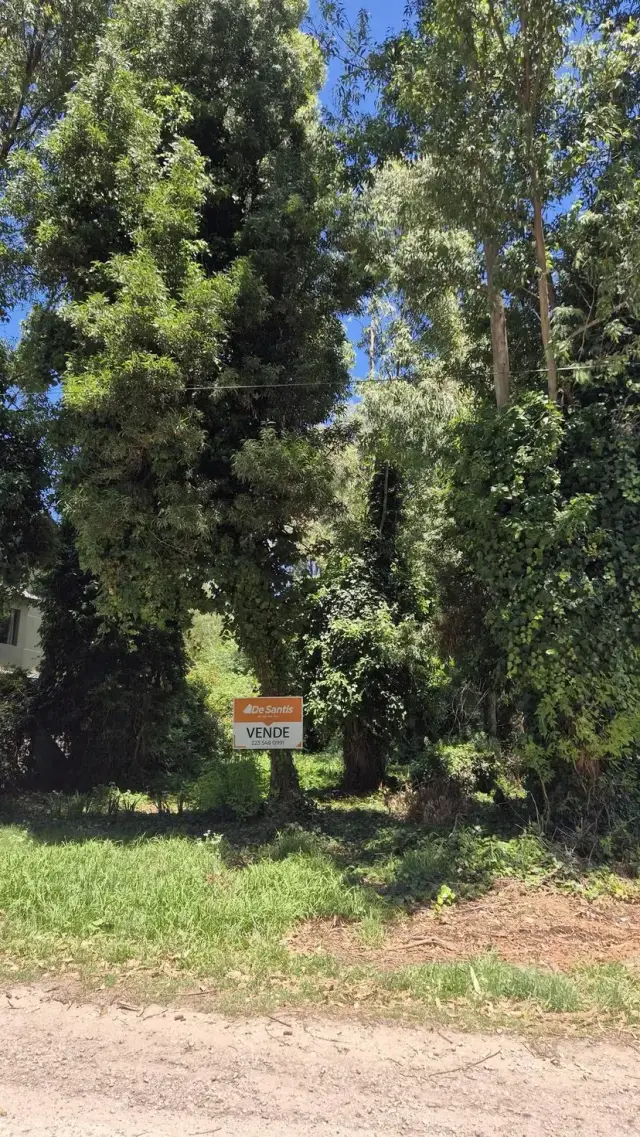 Terreno en venta en Bosque Peralta Ramos