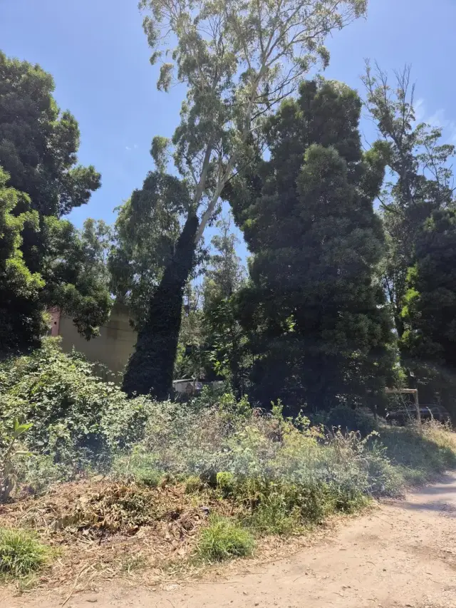 Terreno en venta en Bosque Peralta Ramos