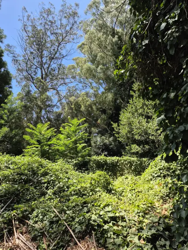 Terreno en venta en Bosque Peralta Ramos