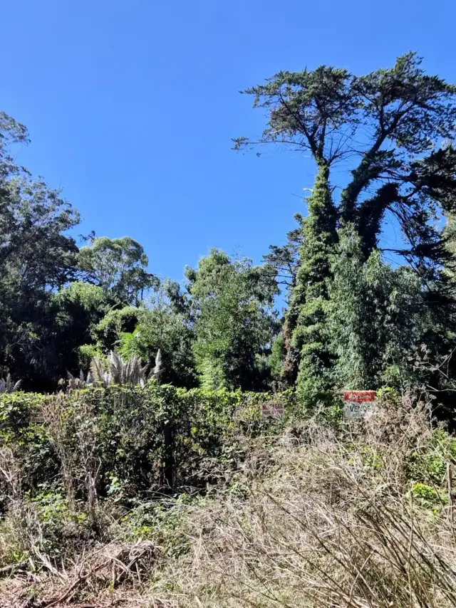 Terreno en venta en Bosque Peralta Ramos