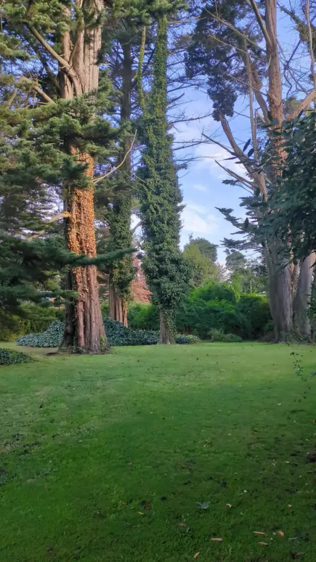Terreno en venta en Bosque Peralta Ramos