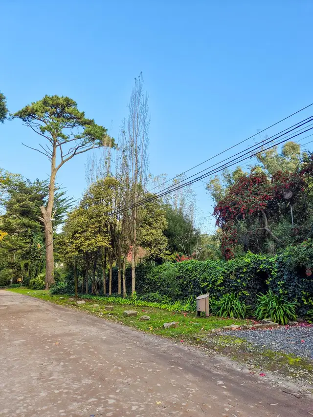 Terreno de 2 ambientes en venta en Bosque Peralta Ramos