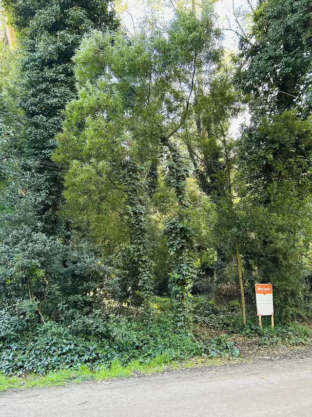 Casa en venta en Bosque Peralta Ramos