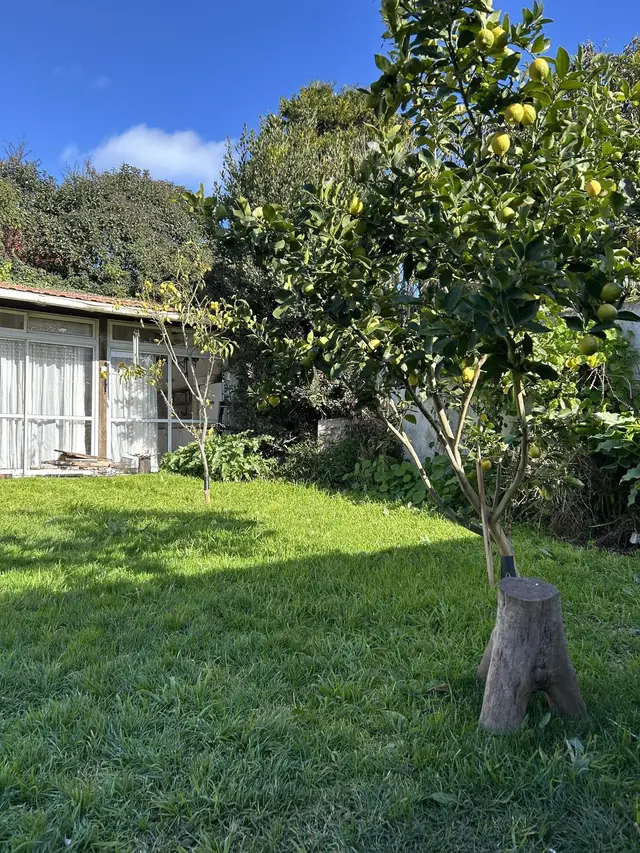 Casa de 6 ambientes en venta en PUNTA MOGOTES