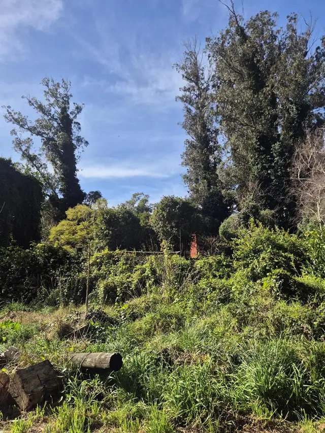 Terreno en venta en Bosque Peralta Ramos