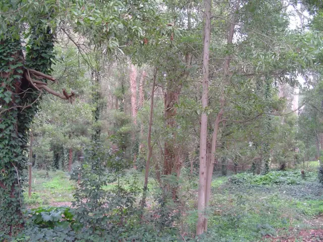 Terreno en venta en BOSQUE PERALTA RAMOS