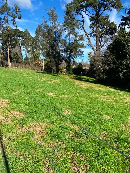 Terreno en venta en SIERRA DE LOS PADRES