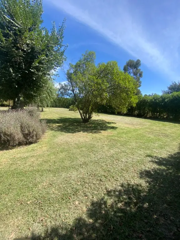 Terreno en venta en Centro