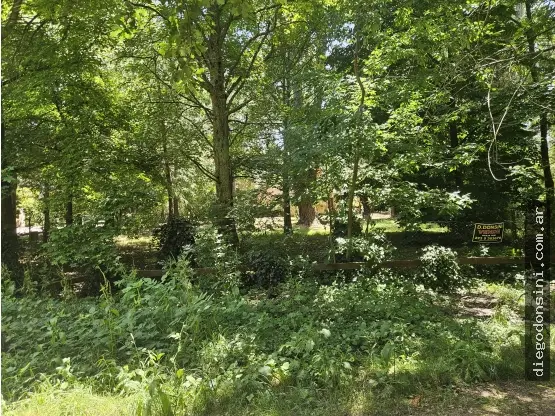 Terreno de 1 ambiente en venta en BOSQUE PERALTA RAMOS