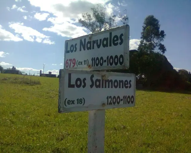 Terreno en venta en PLAYA LOS LOBOS
