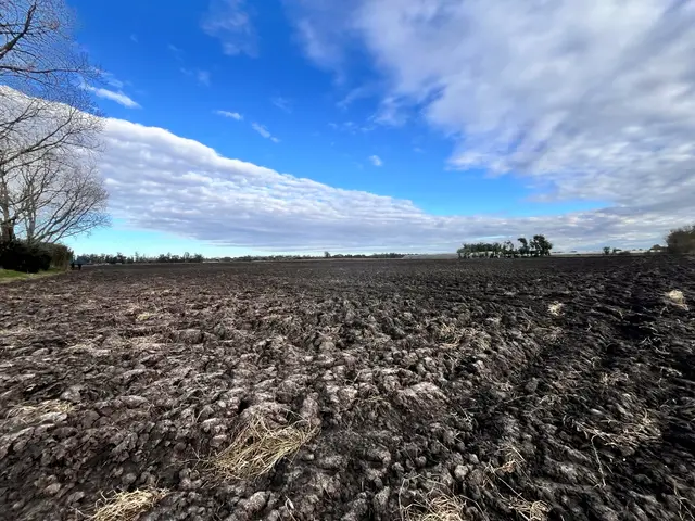 Terreno en venta en Mar del Plata