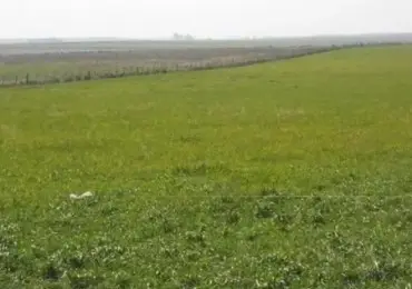 Terreno en venta en Mar del Plata