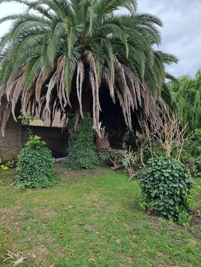 Terreno en venta en ESTRADA JOSE MANUEL
