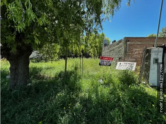 Terreno en venta en LOS TILOS