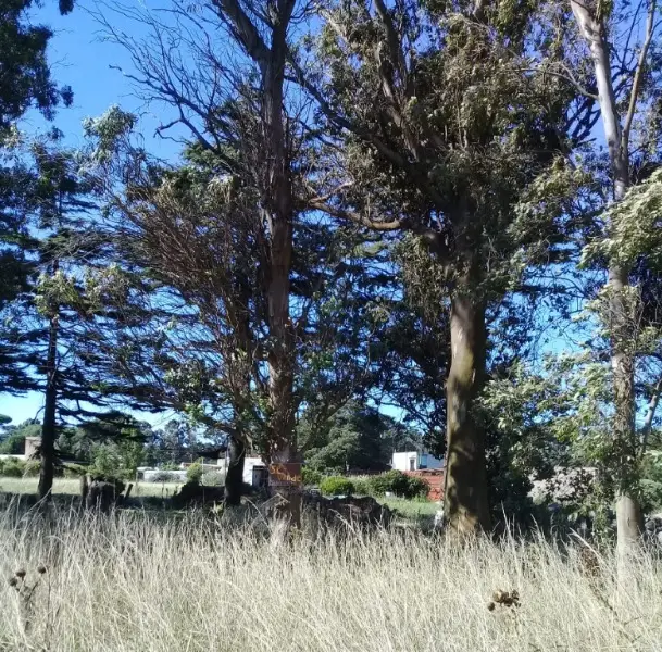 Terreno en venta en Los Acantilados