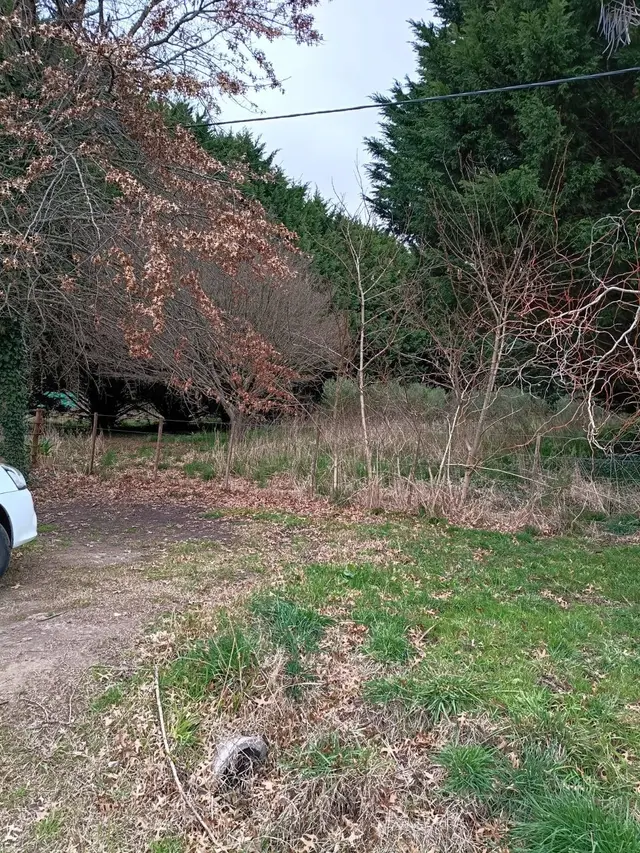 Terreno en venta en LA GLORIA DE LA PEREGRINA