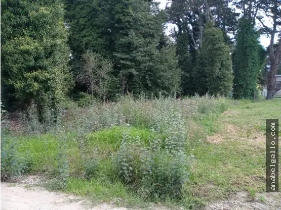 Terreno en venta en SIERRA DE LOS PADRES