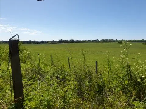 Terreno en venta en LA GLORIA DE LA PEREGRINA