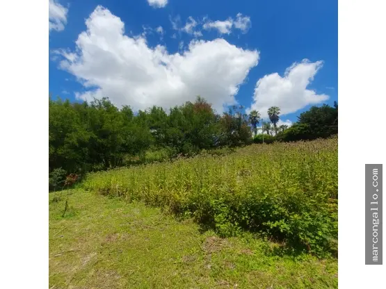 Terreno en venta en SIERRA DE LOS PADRES