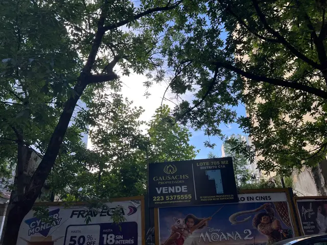 Terreno en venta en Centro