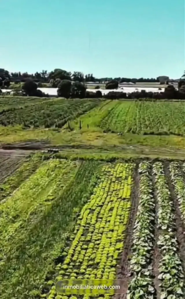 Terreno de 2 ambientes en venta en CAMINO A NECOCHEA