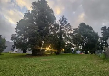 Terreno en venta en BOSQUE PERALTA RAMOS