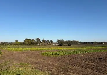 Terreno en venta en Mar del Plata