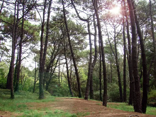 Terreno en venta en Mar del Plata