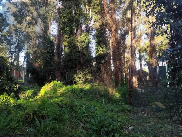 Terreno en venta en BOSQUE PERALTA RAMOS