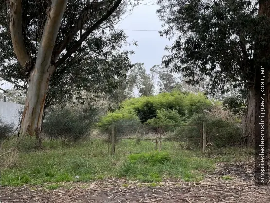 Terreno en venta en LOS ACANTILADOS