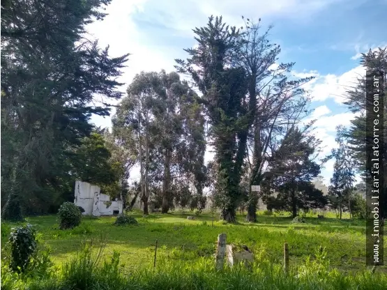 Terreno en venta en Centro