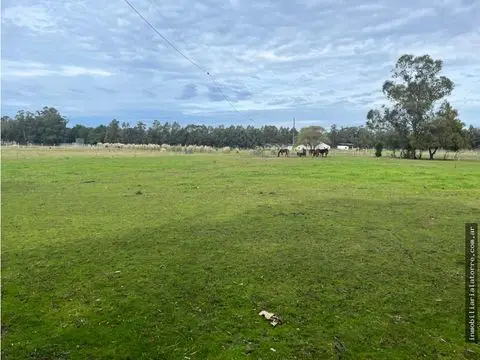 Terreno de 2 ambientes en venta en Camet