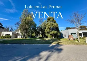 Terreno en venta en BOSQUE PERALTA RAMOS