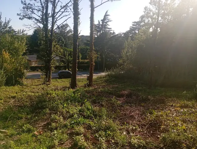 Terreno en venta en SIERRA DE LOS PADRES