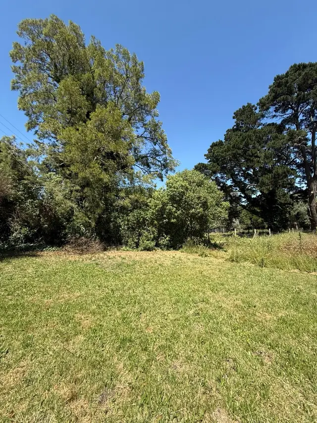 Terreno en venta en COLINA ALEGRE
