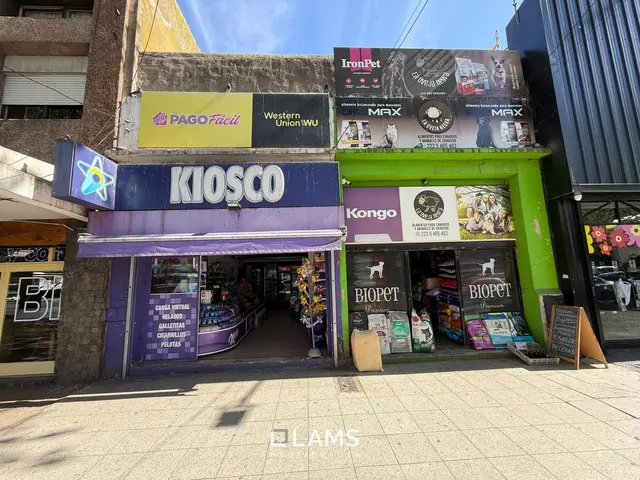 Local de 1 ambiente en alquiler en SAN JUAN