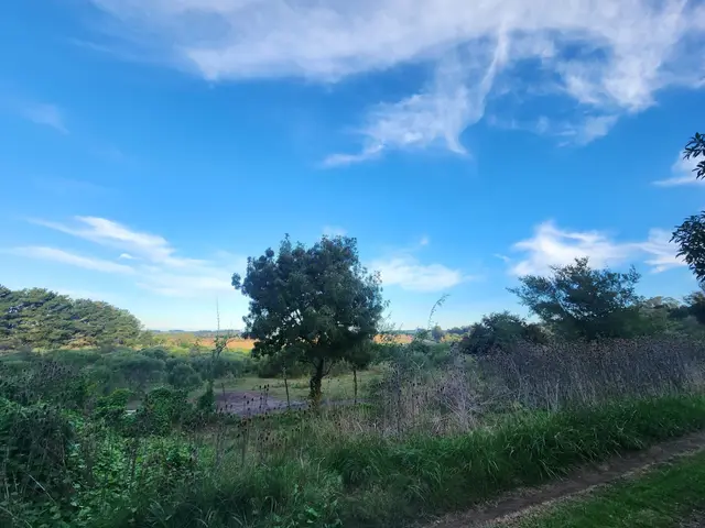 Terreno en venta en LA GLORIA DE LA PEREGRINA
