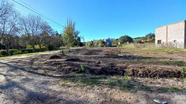Terreno en venta en LA GLORIA DE LA PEREGRINA
