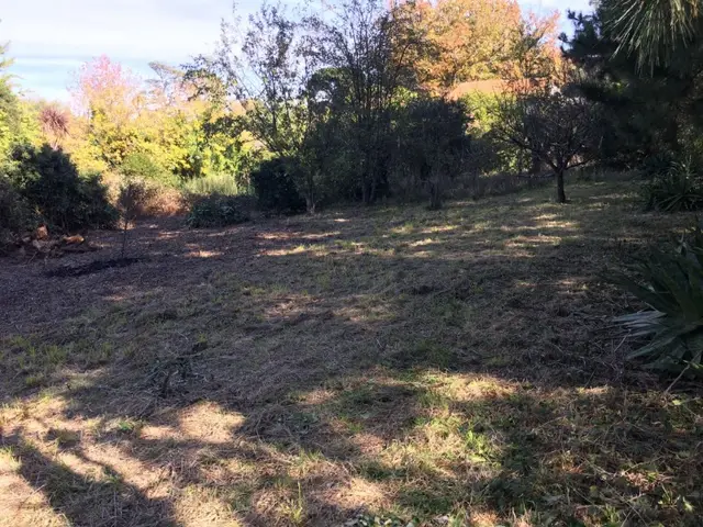 Terreno en venta en LOS PINARES