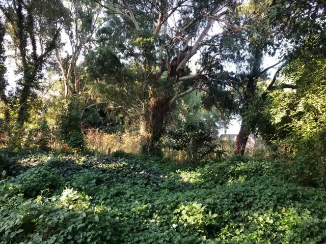 Terreno en venta en SIERRA DE LOS PADRES