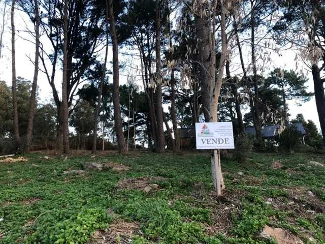 Terreno en venta en SIERRA DE LOS PADRES