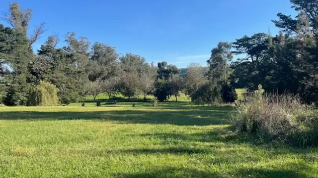Terreno en venta en LA GLORIA DE LA PEREGRINA